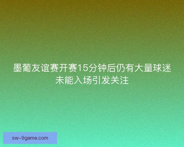 墨葡友谊赛开赛15分钟后仍有大量球迷未能入场引发关注